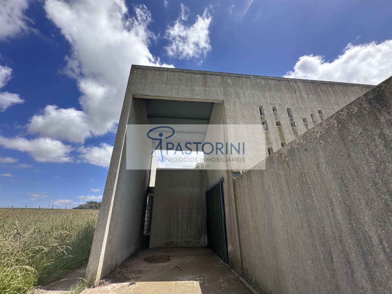 Vendemos especial Casa quinta en campo agricola con Capilla en Batan