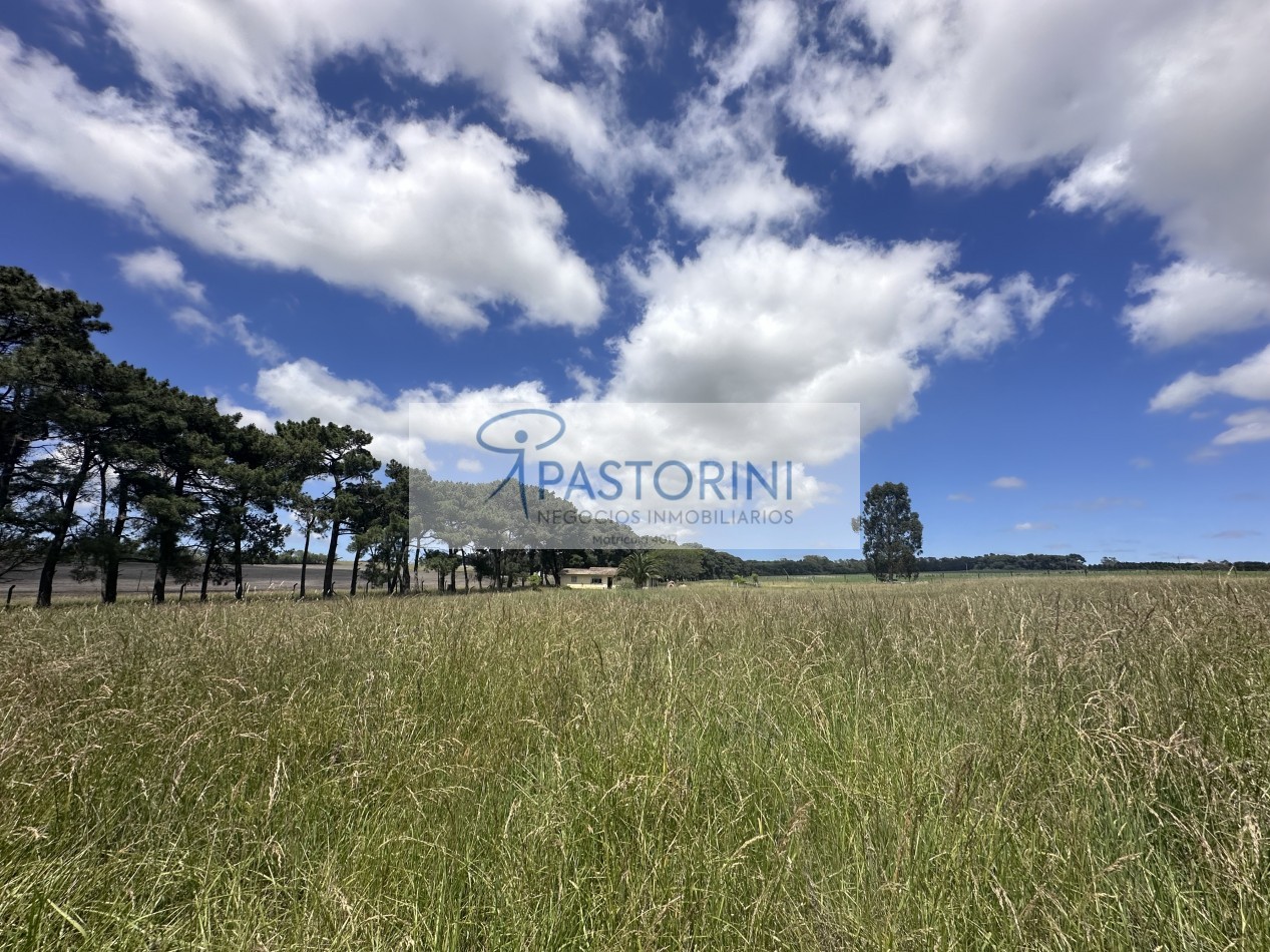 Vendemos especial Casa quinta en campo agricola con Capilla en Batan