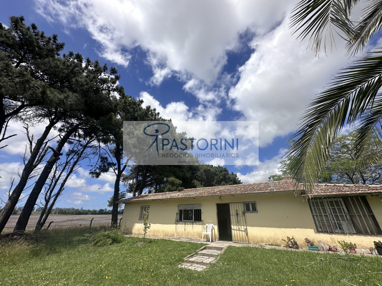 Vendemos especial Casa quinta en campo agricola con Capilla en Batan