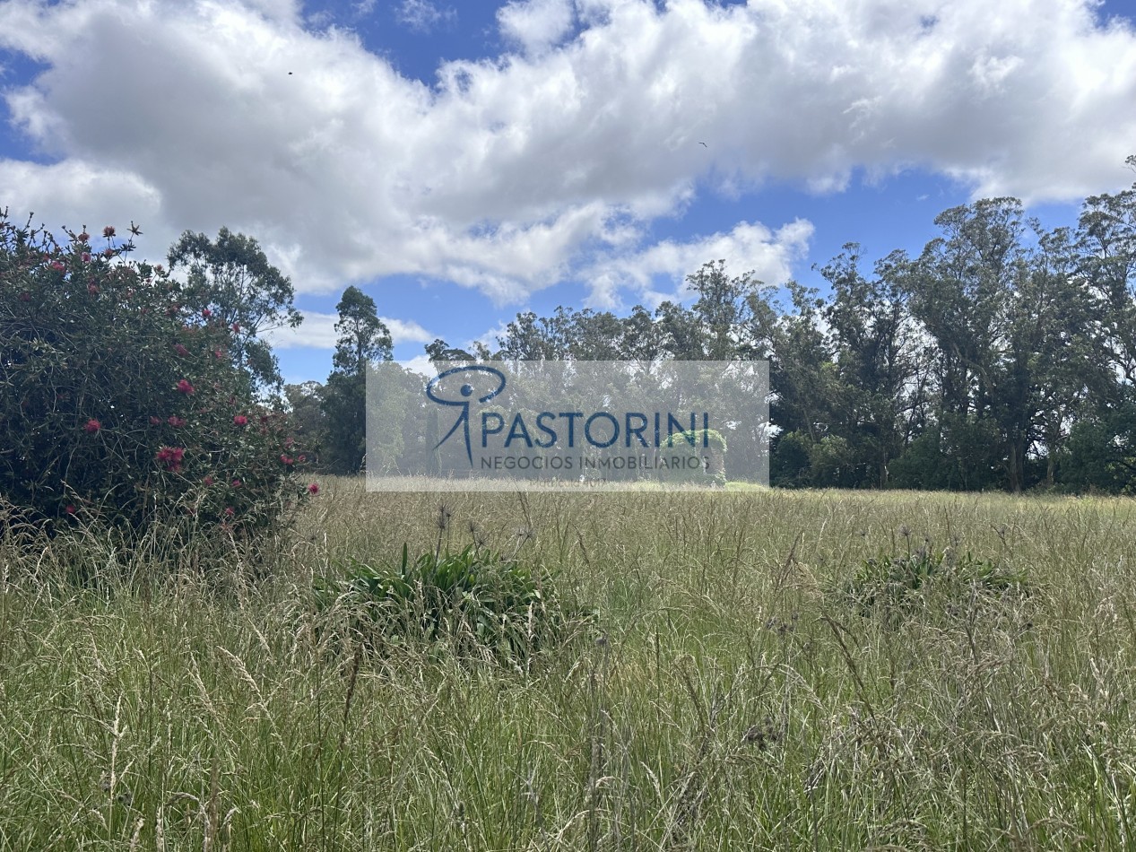 Vendemos especial Casa quinta en campo agricola con Capilla en Batan