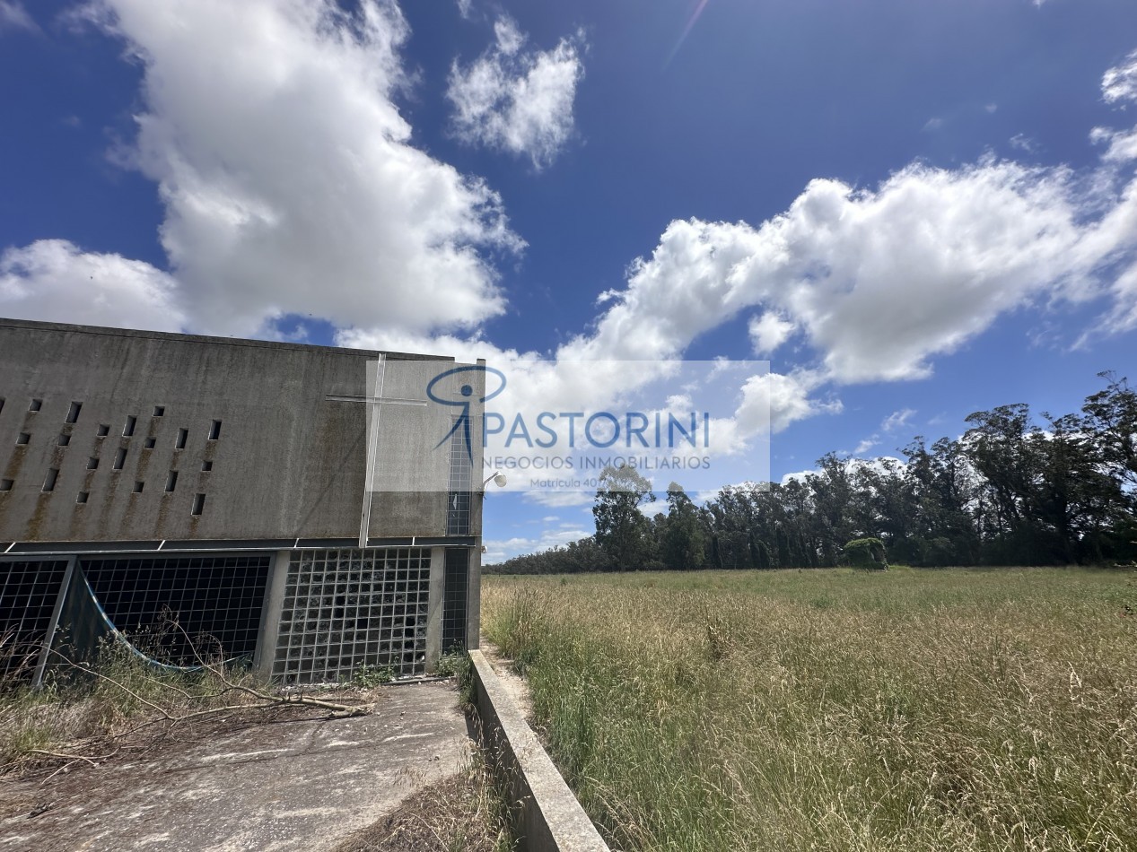 Vendemos especial Casa quinta en campo agricola con Capilla en Batan