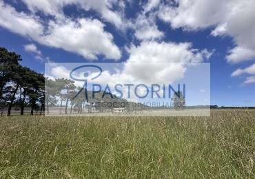 Vendemos especial Casa quinta en campo agricola con Capilla en Batan